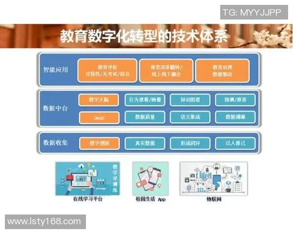 运动康复新视野：科学方法与个性化治疗结合的创新路径