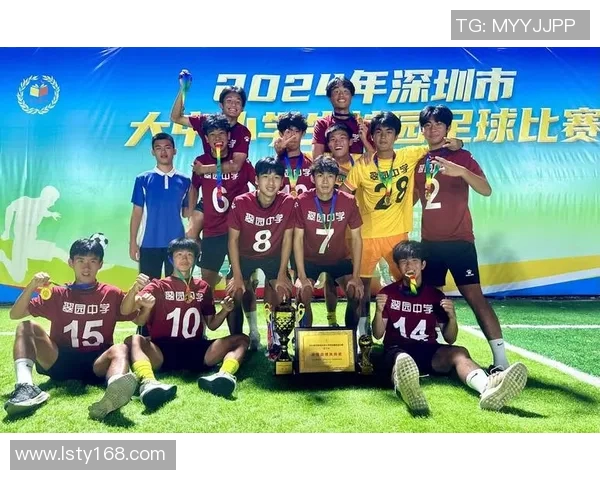 深圳足球队的转型之路：从低谷到巅峰的奋斗与追求